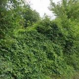 TOW CAR SERVICE s.r.o.