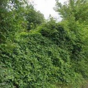 obrazek: avatar TOW CAR SERVICE s.r.o.