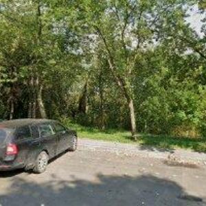 obrazek: avatar CARINEX