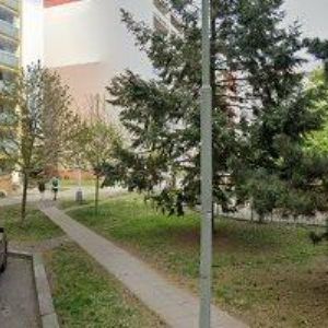 obrazek: avatar HANZELÍNOVÁ MARKÉTA