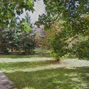 obrazek: avatar MIKA JAN-ČIŠTĚNÍ KOBERCŮ