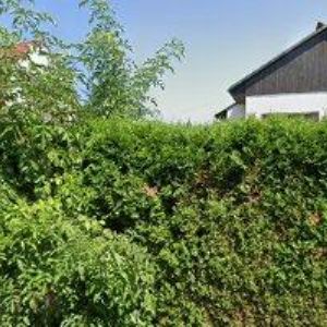 obrazek: avatar VILLA OLIVIA