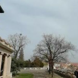 obrazek: avatar CEELI INSTITUT, o.p.s.