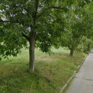 obrazek: avatar APARTMENT MILAN