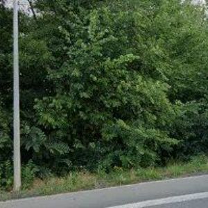 obrazek: avatar PENSION P & P