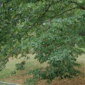 obrazek: avatar AGENTURA BBT s.r.o.