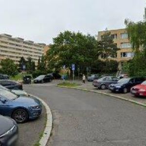 obrazek: avatar NOTINOVÁ ALŽBĚTA