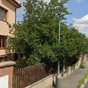 obrazek: avatar SIT TRAVEL