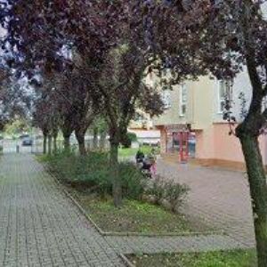 obrazek: avatar PESTRÁ, o.p.s.