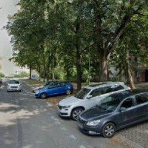 obrazek: avatar FORMÁNKOVÁ PAVLÍNA Mgr.-CK SLUNEČNICE