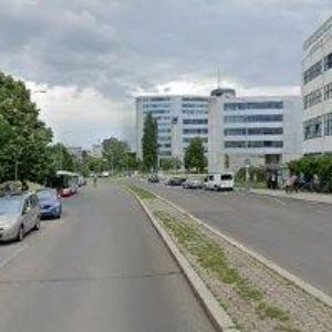 obrazek: avatar MEDDEB LIES