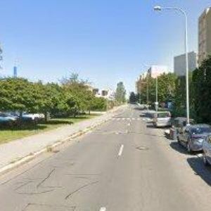 obrazek: avatar TRČKOVÁ MARKÉTA-CK PREMIUM