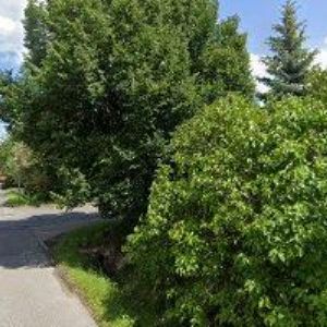 obrazek: avatar BOVIA s.r.o.