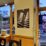 TIME TRAVEL spol. s r.o.