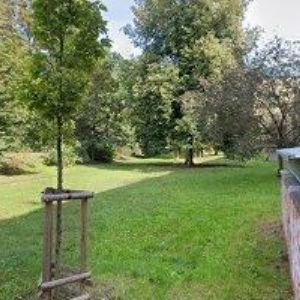 obrazek: avatar SPORTPAS