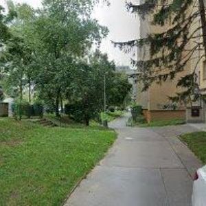 obrazek: avatar SRNEC BEDŘICH