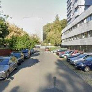 obrazek: avatar ANTONOVÁ DANA Mgr. Ph.D.