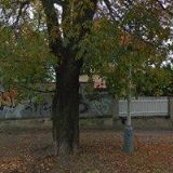 RUBKOVÁ ŠÁRKA Ing.arch.