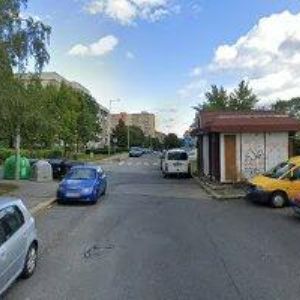 obrazek: avatar POKORNÁ RŮŽENA