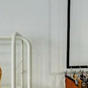 obrazek: avatar BELLOVÁ BIANCA Ing.-LINGOLINGO