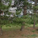 PONDĚLÍČEK JIŘÍ