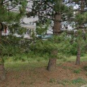 obrazek: avatar PONDĚLÍČEK JIŘÍ