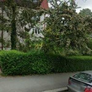 obrazek: avatar MEDUM