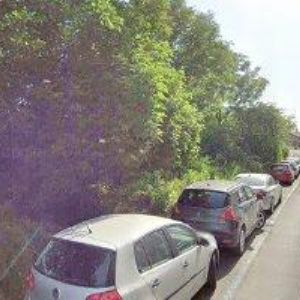 obrazek: avatar MARTINKOVÁ LENKA Mgr.