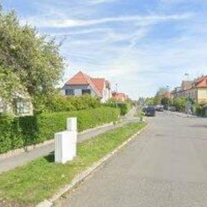 obrazek: avatar LOSKOTOVÁ MARTINA