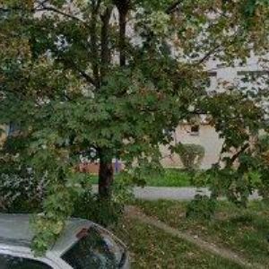 obrazek: avatar RADA RUDOLF