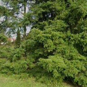 obrazek: avatar VOBORSKÁ MILADA Mgr.-BABYKA