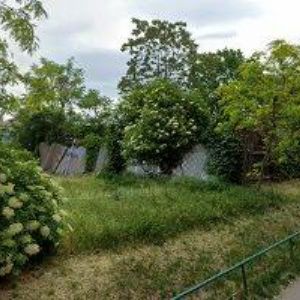 obrazek: avatar ALLEGRO SERVICE