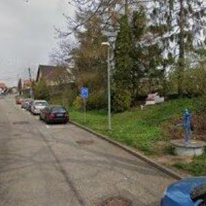 obrazek: avatar PAVLÍČKOVÁ MAGDALENA Mgr.