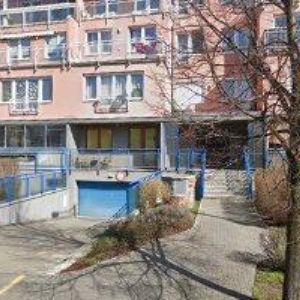 obrazek: avatar KLEVTSOVA IRINA