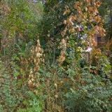 RŮŽIČKA PETR Mgr.