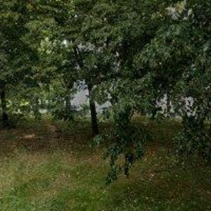 obrazek: avatar TAXI1