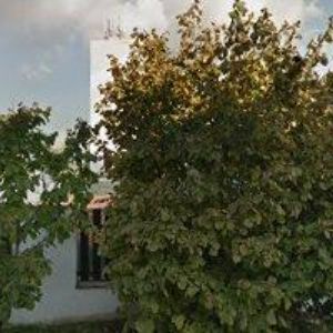 obrazek: avatar TRIMEX OLOMOUC spol. s r.o.