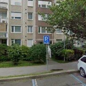 obrazek: avatar EGERMAJER PAVEL