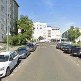 ŠEDIVÝ JIŘÍ-RYCHLÝ SLON