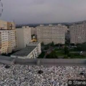 obrazek: avatar COVENANT ZAHRADY A PARKY s.r.o.