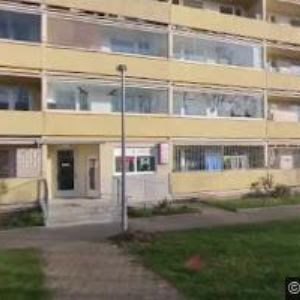 obrazek: avatar ZELEŇ-SUTĚ s.r.o.