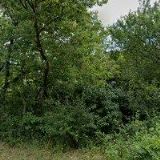 UMBRELLA COACH & BUSES s.r.o.