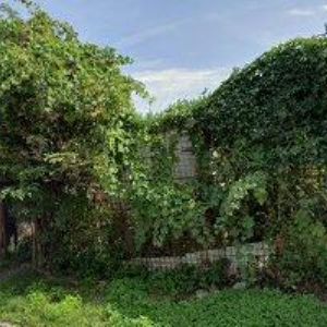 obrazek: avatar TSCHUNKO JOSEF-OBALY PRAHA