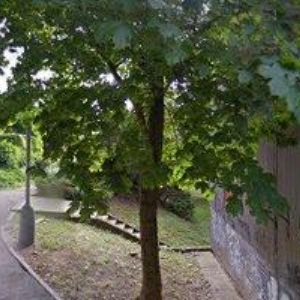 obrazek: avatar KLUVER HOUSE-TRUHLÁŘSTVÍ LUKAVSKÝ PRAHA