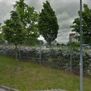 obrazek: avatar SPEDITREX s.r.o.