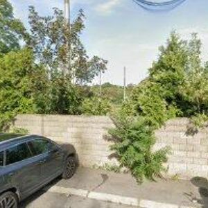 obrazek: avatar VYKLÍZENÍ WOLF