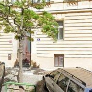 obrazek: avatar PALLAS TEAM