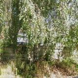 KAR LIMOUSINE SERVIS s.r.o.