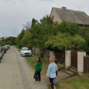 obrazek: avatar NESRSTA PAVEL-ALSTEG