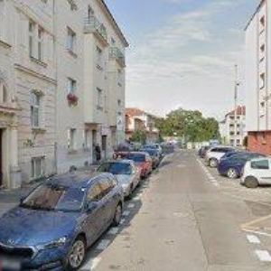 obrazek: avatar SYSEL MARTIN-TŘÍDĚNÍ ODPADU